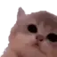 aaaaaaaaaaaaaaaaaa